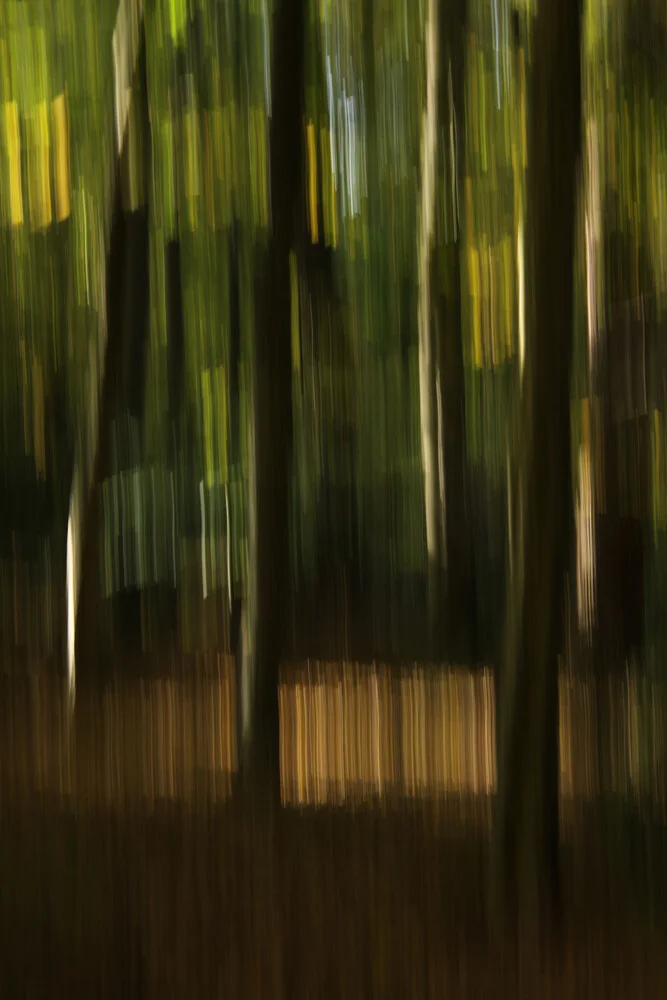 autumn abstract #1o - fotokunst von Steffi Louis