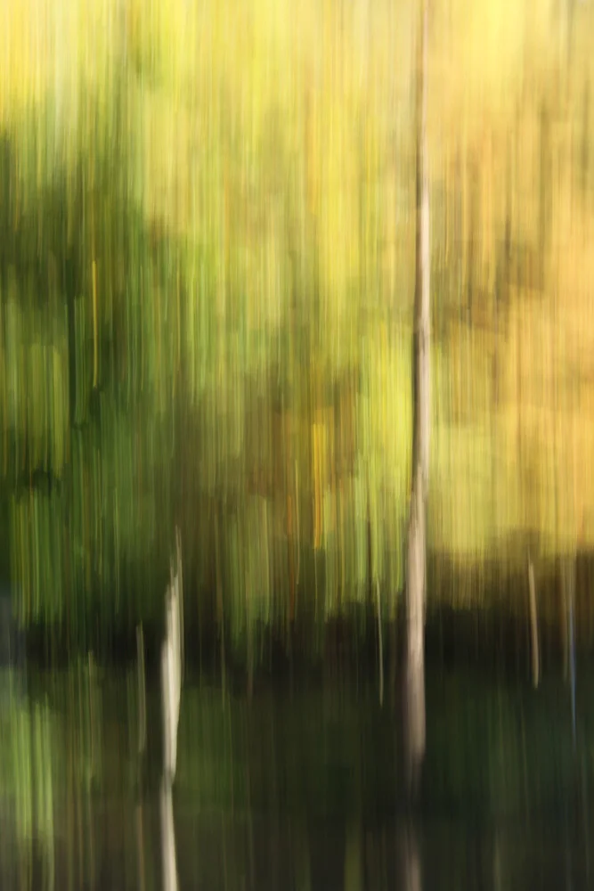 autumn abstract #o8 - fotokunst von Steffi Louis