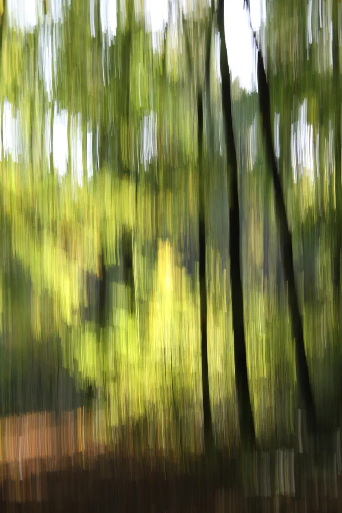 autumn abstract #o6 - fotokunst von Steffi Louis