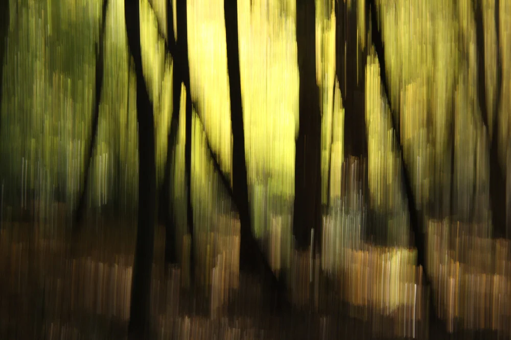 autumn abstract #o1 - fotokunst von Steffi Louis