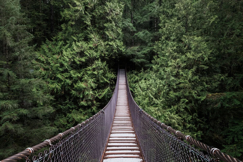 The Forest is calling // Lynn Canyon, Kanada - fotokunst von Manuel Gros