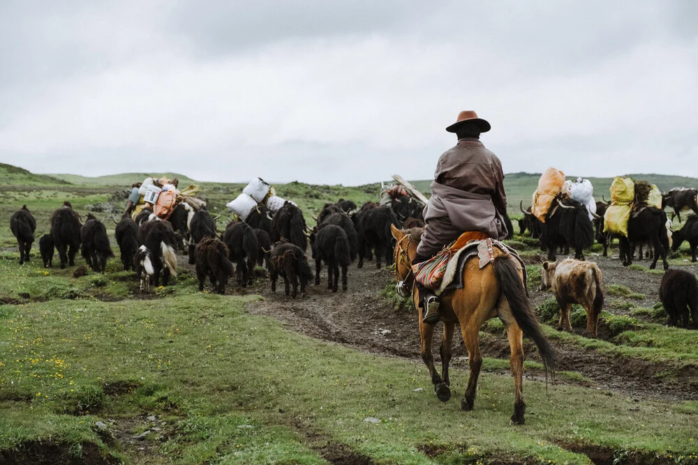 Der Yak Hirte // Sichuan - China - fotokunst von Manuel Gros