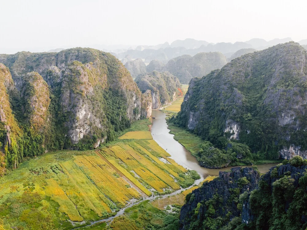 Die Reisfelder von Ninh Binh // Vietnam - fotokunst von Manuel Gros