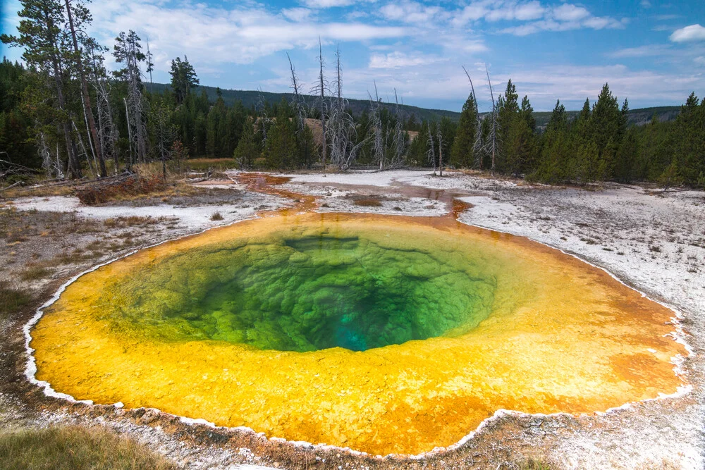 yellowstone - Fineart photography by Christoph Schaarschmidt