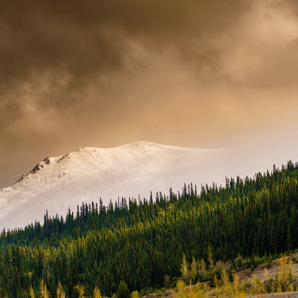 Stewart-Cassiar Highway - Fineart photography by Mirko Reichlin