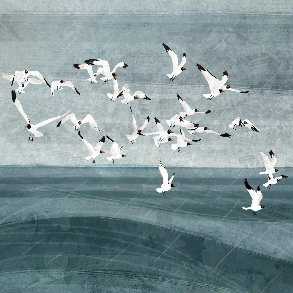 Gulls - fotokunst von Katherine Blower