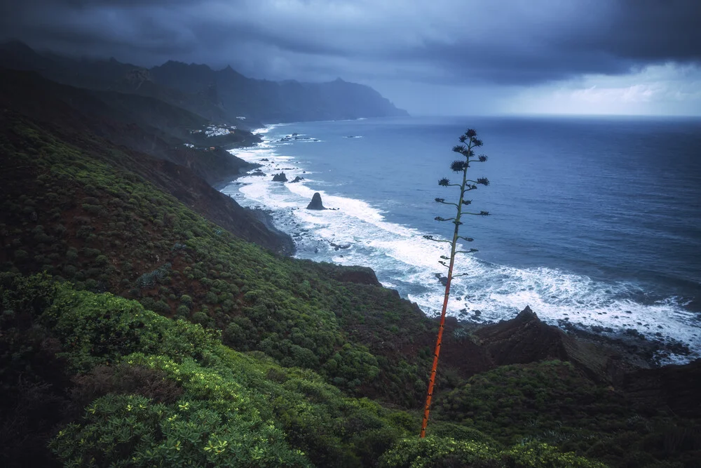 Teneriffa Anaga Gebirge und Küste - fotokunst von Jean Claude Castor