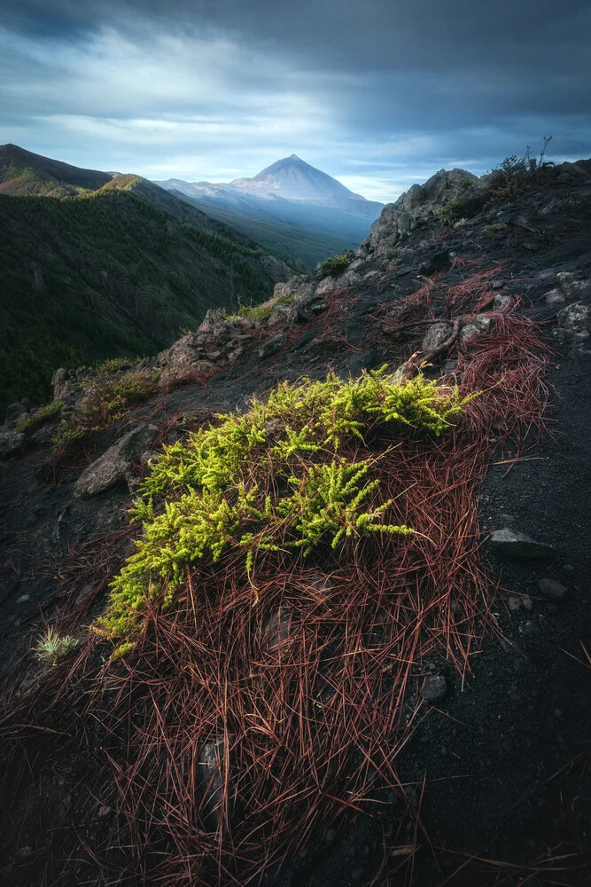 Teneriffa Teide im Morgengrau - fotokunst von Jean Claude Castor