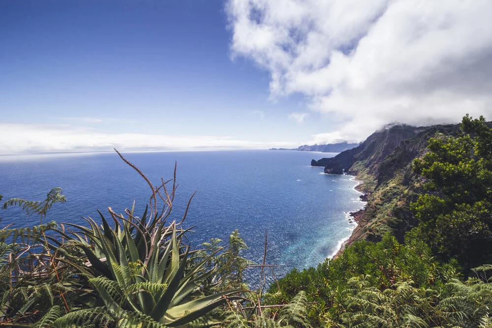 Madeira, Portugal – Fotokunst von Kosianikosia  als Poster oder Acrylglasbild