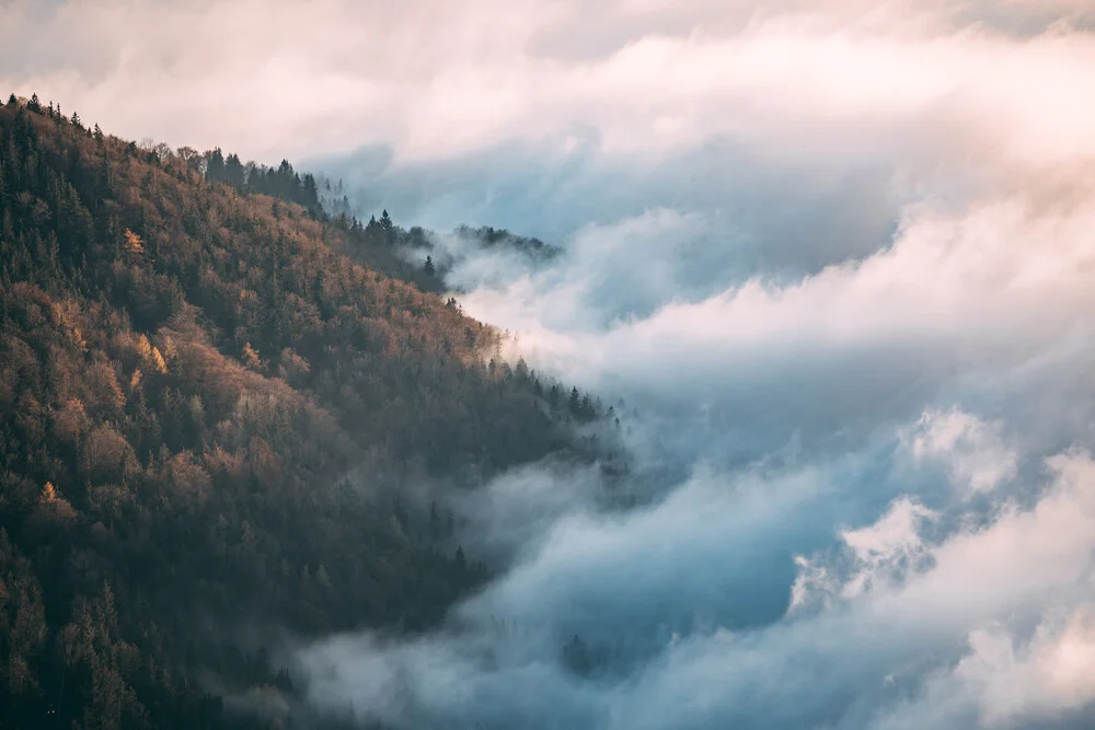 Trees vs clouds - fotokunst von Sebastian ‚zeppaio' Scheichl