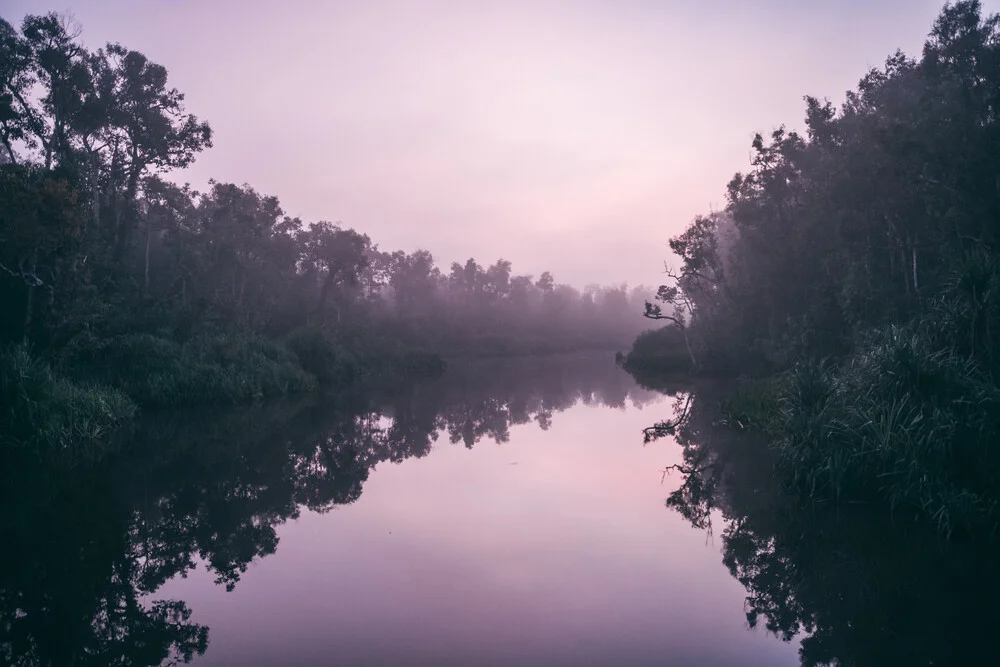 Early mornings in the jungle - fotokunst von Sebastian ‚zeppaio' Scheichl