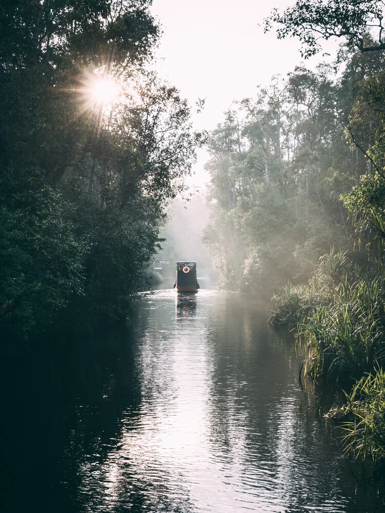 In the jungle of Borneo - fotokunst von Sebastian ‚zeppaio' Scheichl