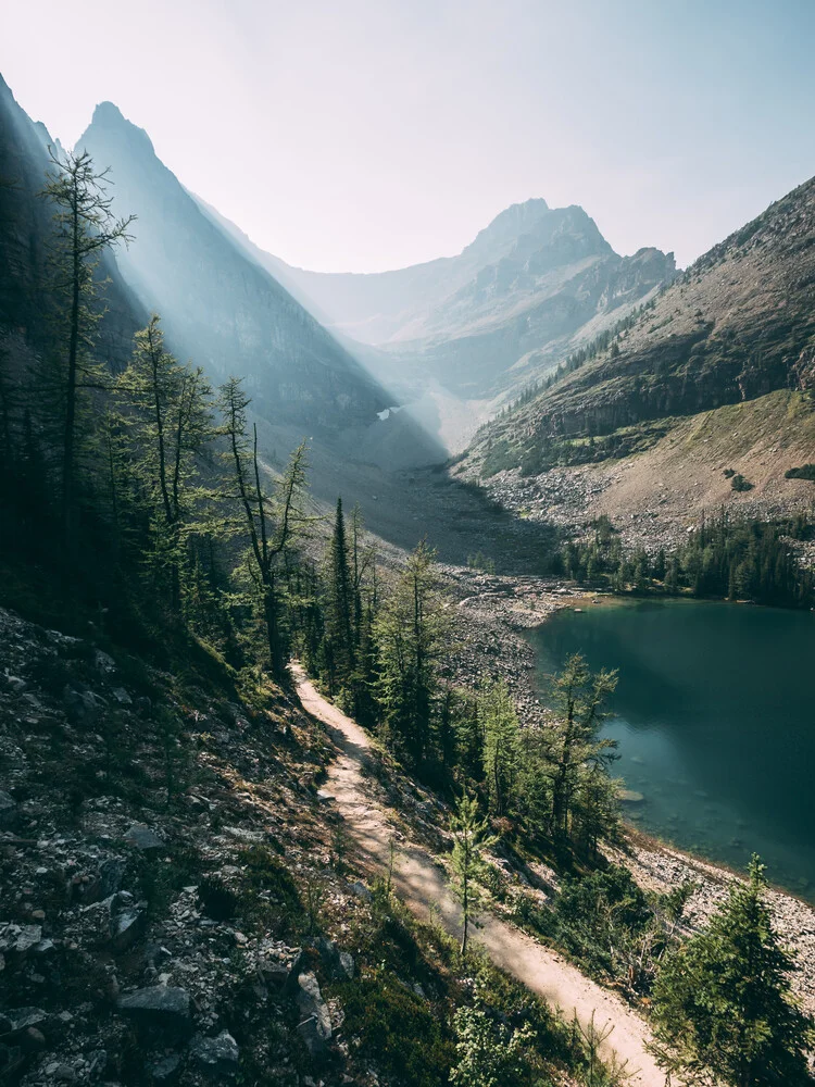 The path - Fineart photography by Sebastian ‚zeppaio' Scheichl