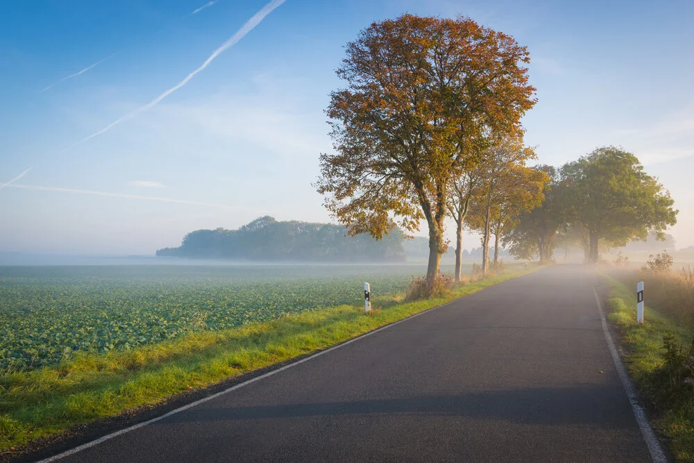 Herbstallee - fotokunst von Martin Wasilewski