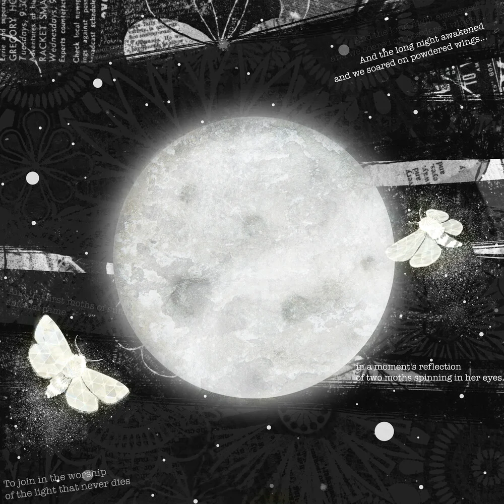 Moths On The Moon - fotokunst von Katherine Blower