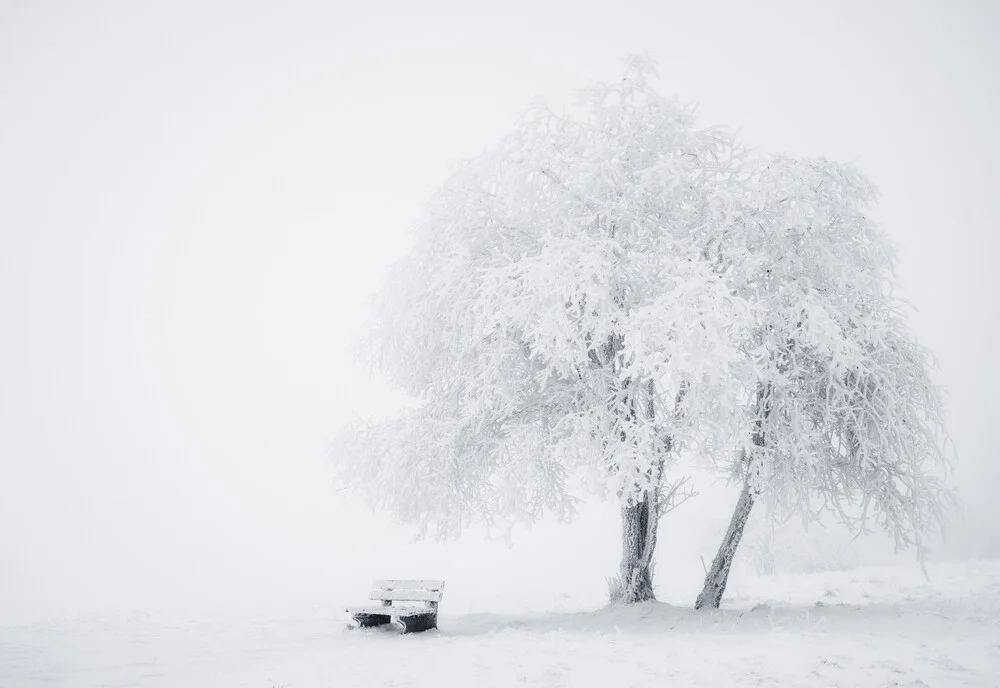 Eiszeit - fotokunst von Heiko Gerlicher