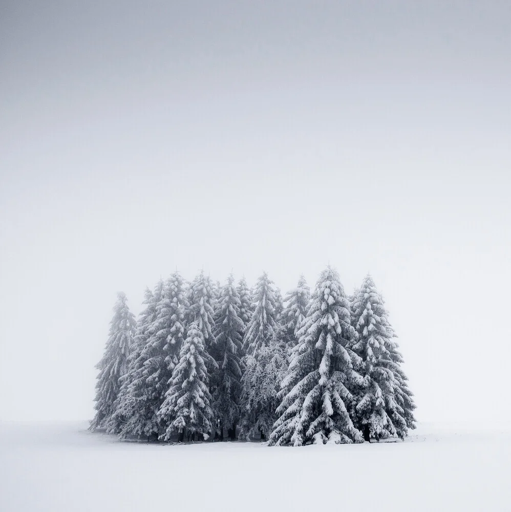 Winterbäume V - fotokunst von Heiko Gerlicher