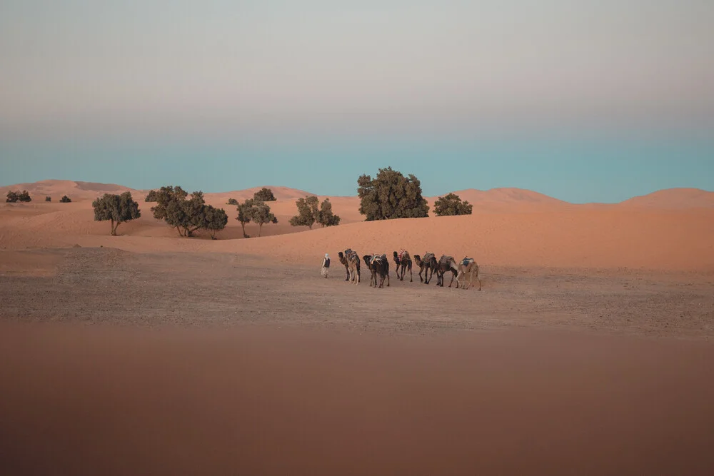 Sahara Desert - fotokunst von Thomas Christian Keller