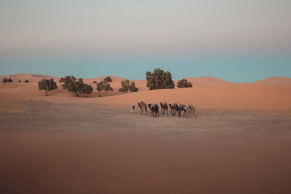 Sahara Desert - Fineart photography by Thomas Christian Keller