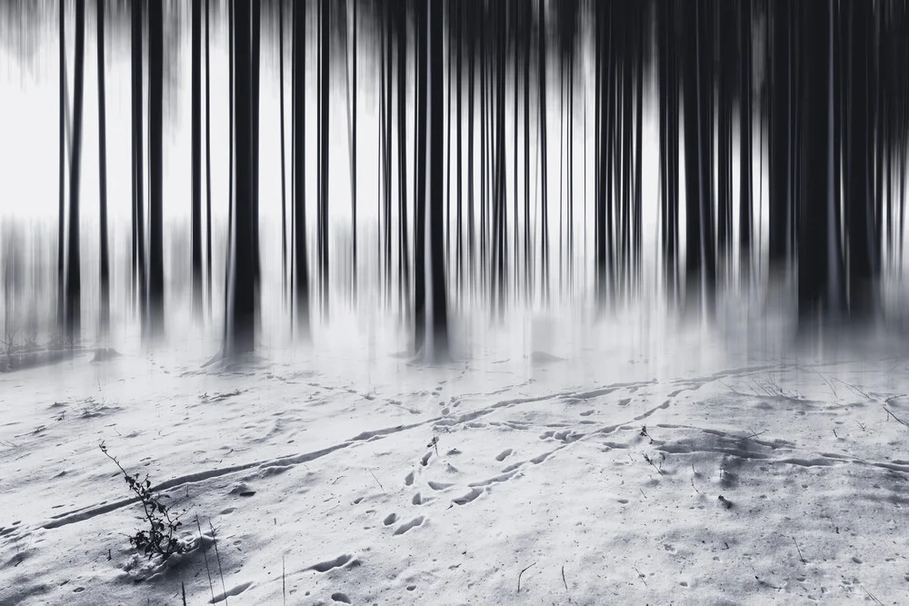 Strichcode im Wald - fotokunst von Oliver Henze