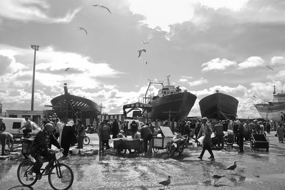 Fresh Fish! - Fineart photography by Marco Entchev