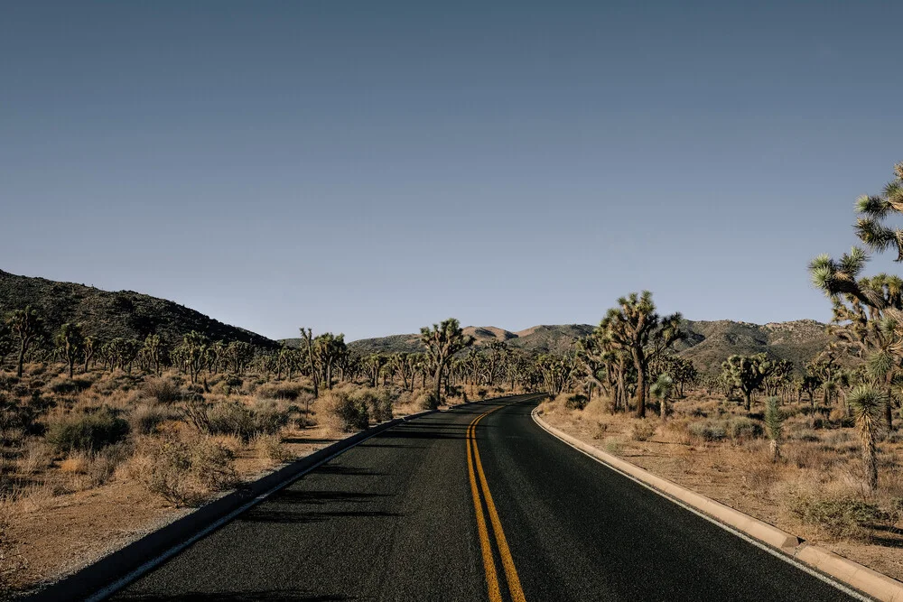 Desert Road - fotokunst von Sebastian Trägner