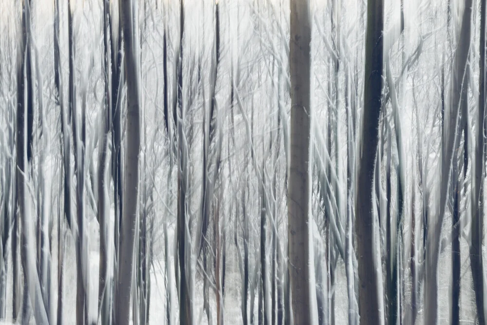 Verwischte Bäume mit Schnee - fotokunst von Nadja Jacke