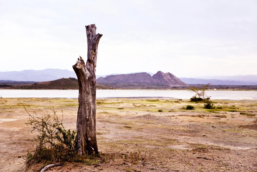 Lake Elementaita - fotokunst von Victoria Knobloch