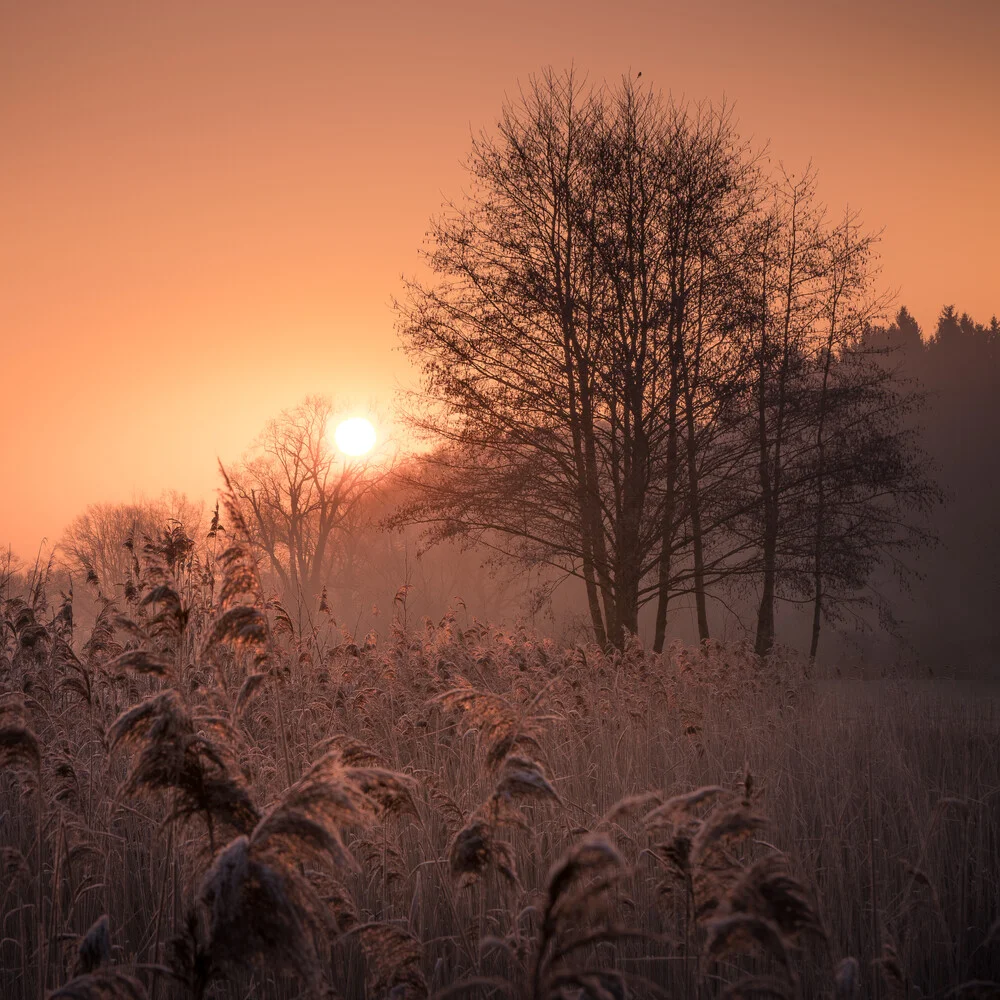 first light - fotokunst von Anke Butawitsch