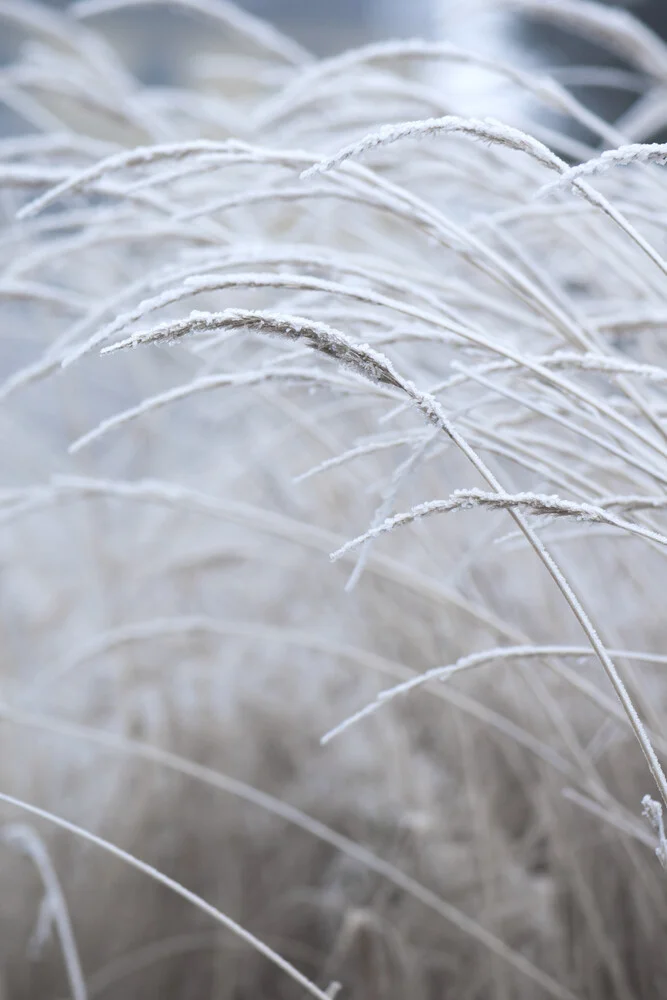 White and Calm - fotokunst von Studio Na.hili