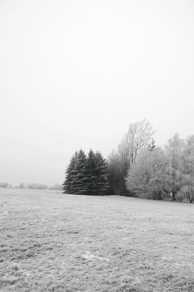 Winter Wonderland - fotokunst von Studio Na.hili