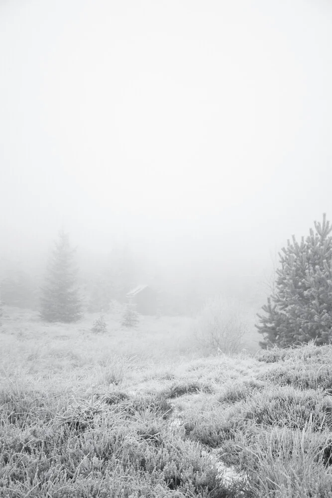 The house in the forest - Fineart photography by Studio Na.hili