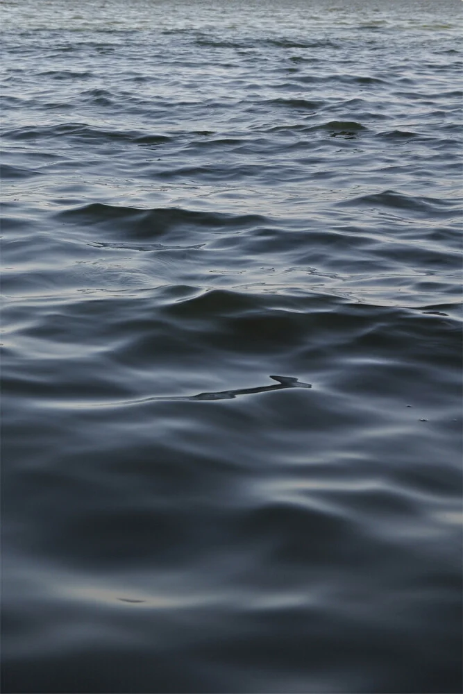 Feet in the water - fotokunst von Studio Na.hili