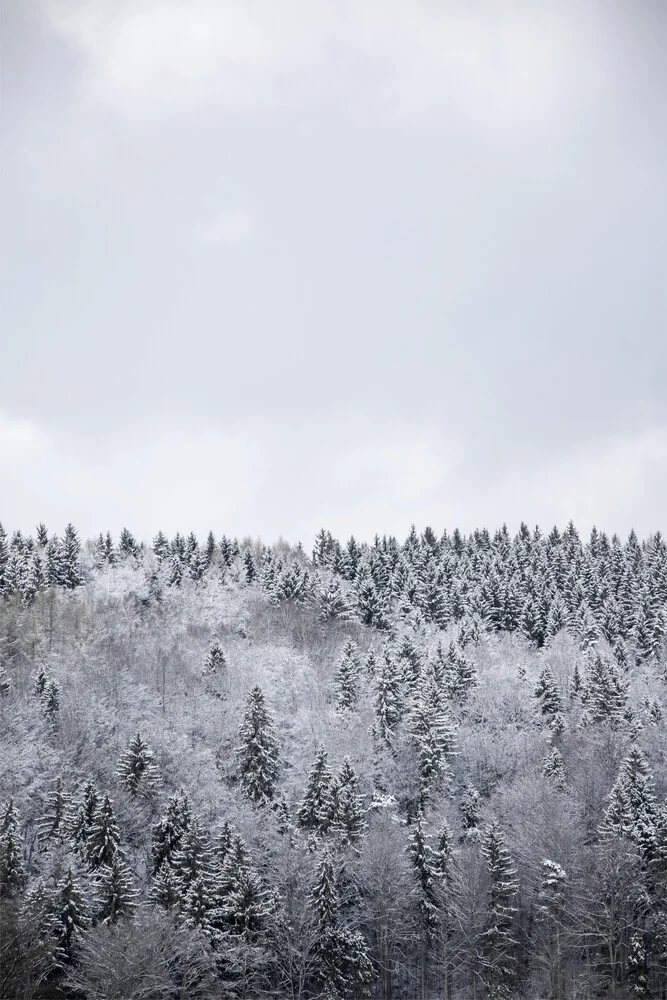 White Winter Forest - Fineart photography by Studio Na.hili