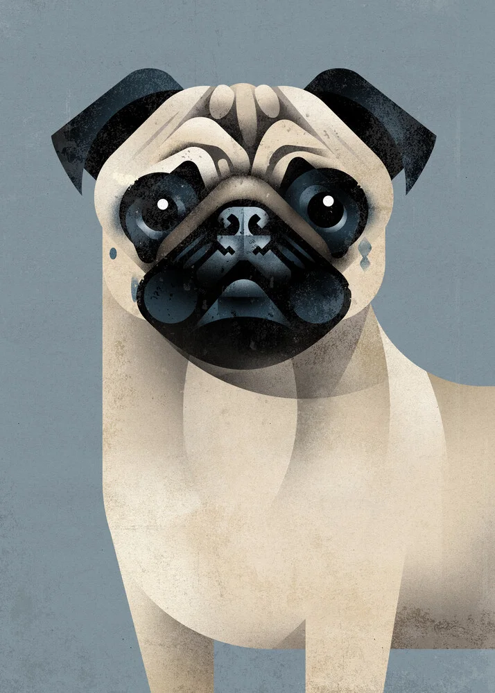 Pug - Fineart photography by Dieter Braun