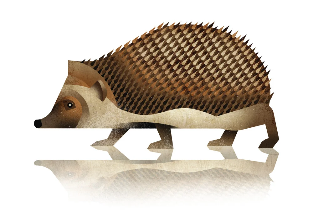 Hedgehog - Fineart photography by Dieter Braun