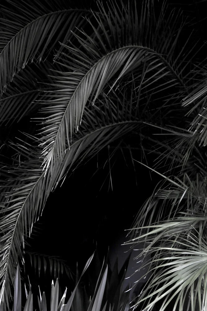 Tropical Garden 1/5 - fotokunst von Studio Na.hili