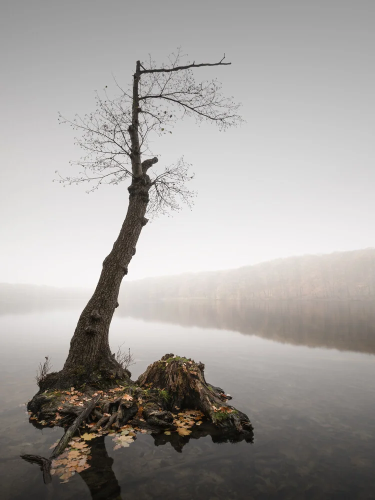 Høst - fotokunst von Ronny Behnert