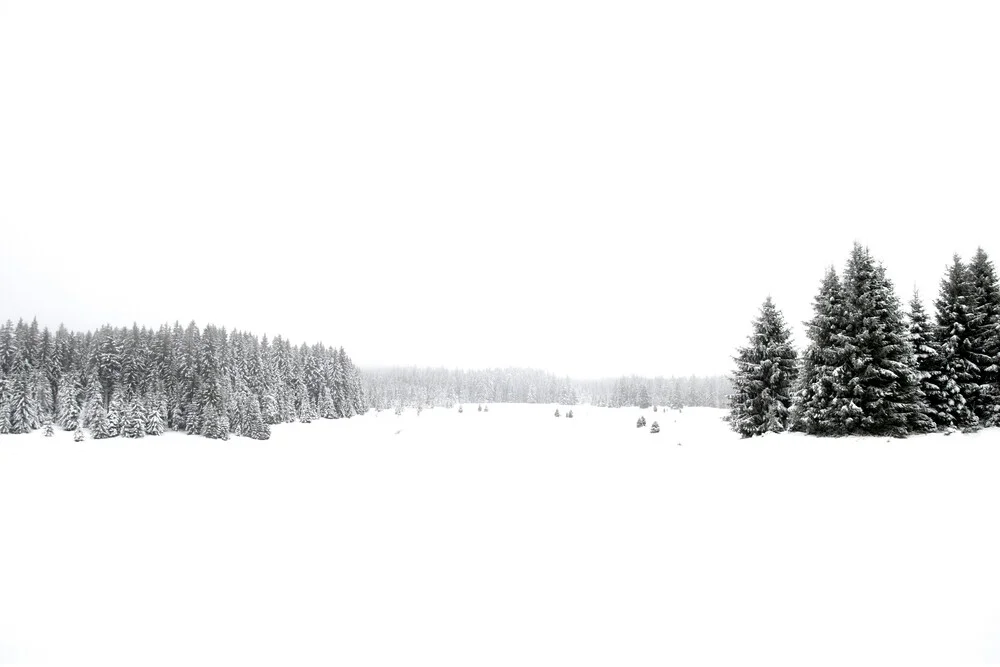 White White Winter - fotokunst von Studio Na.hili