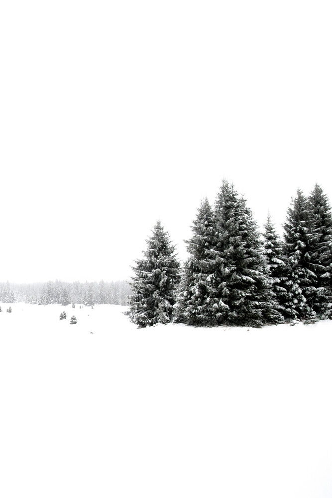White White Winter 2/2 - fotokunst von Studio Na.hili