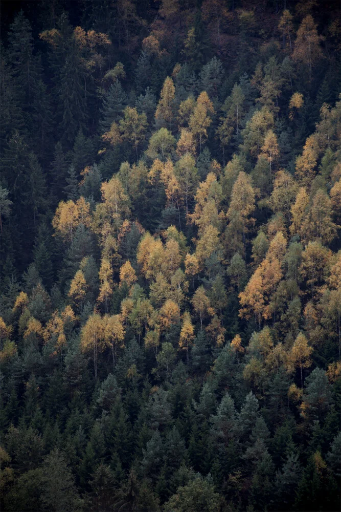 Autumn in all its beauty - fotokunst von Studio Na.hili