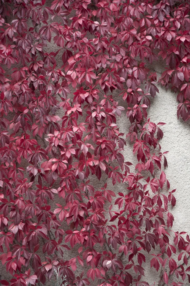 Beauty of Autumn - fotokunst von Studio Na.hili