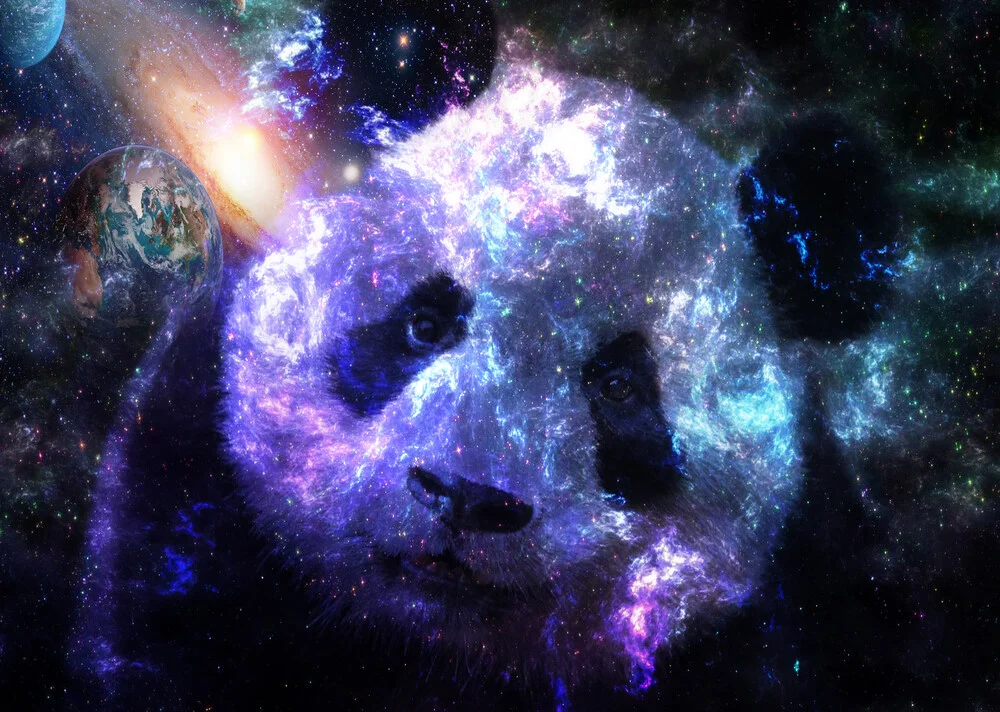 Galaxy Baby Panda Planet - fotokunst von Lemo Boy