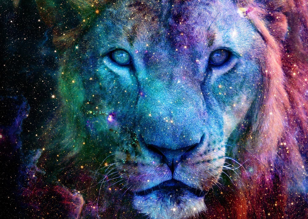 Galaxy Lion Face - fotokunst von Lemo Boy