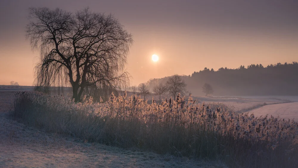 morning mood - fotokunst von Anke Butawitsch