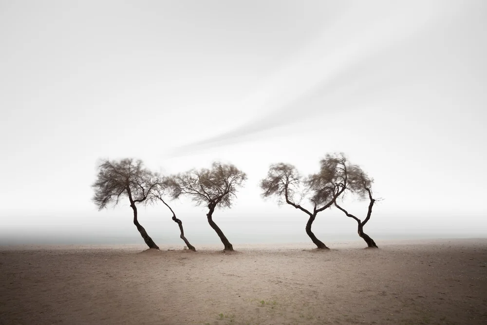 Dancing on the beach - fotokunst von Ozkan Konu