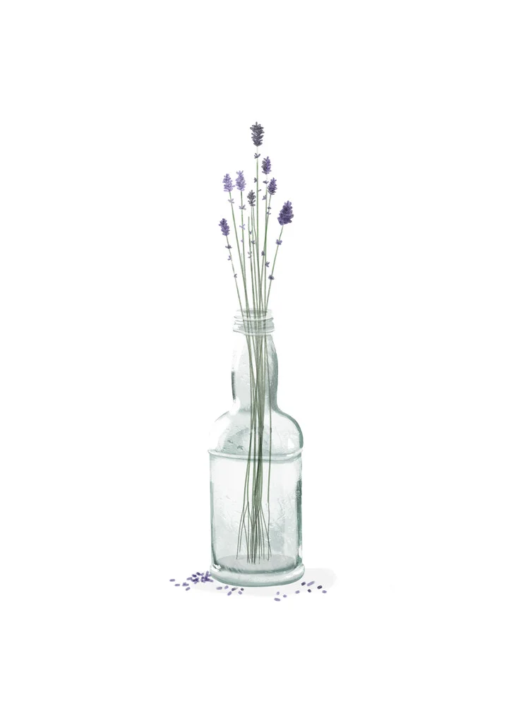 lavender - fotokunst von Katherine Blower