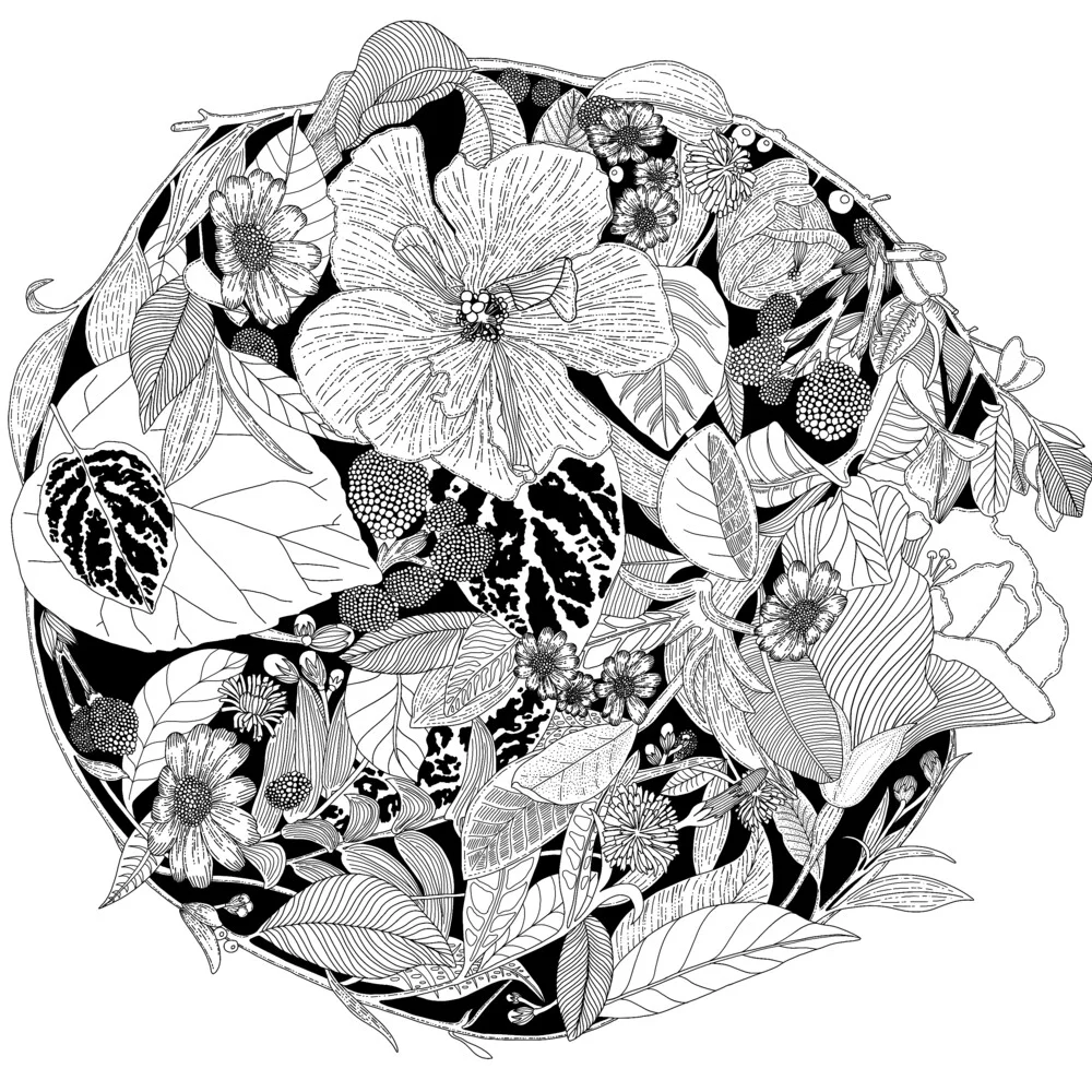 Botanical Circle (Black and White) - fotokunst von Catalina Villegas