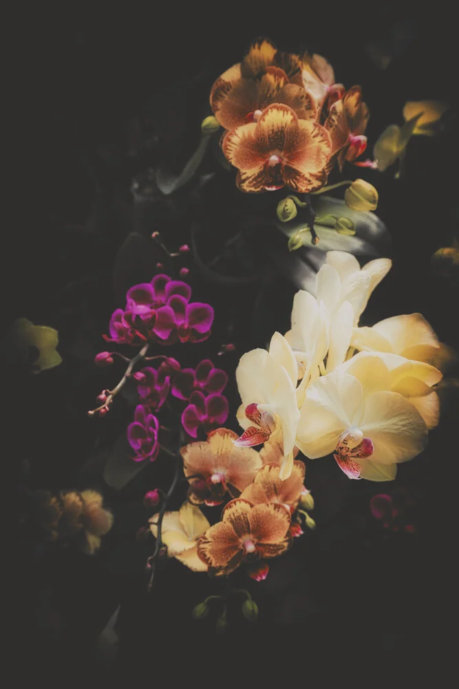 Blumenbouquet - fotokunst von Pascal Deckarm