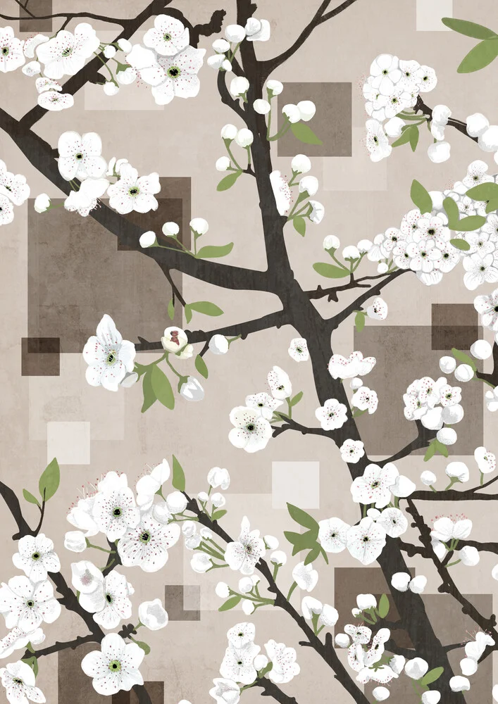 white Blossoms - fotokunst von Katherine Blower